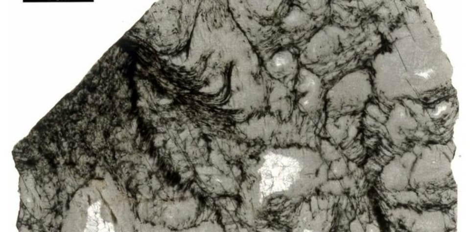 Revolución científica: detectan rastros de vida terrestre de hace 3.300 millones de años